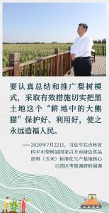 镜观·回响｜像保护大熊猫一样保护黑土地