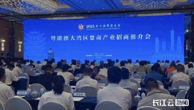 楚商向新同行 回乡共建支点丨粤港澳大湾区招商会涌动楚商回乡热