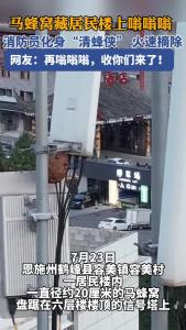 马蜂窝藏居民楼嗡嗡嗡 消防员化身“清蜂侠” 火速摘除