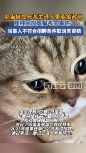 桂林回应虐猫考生事件：当事人不符合招聘条件取消其资格