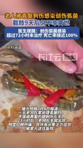 老人被青蟹刺伤感染截肢9天后离世