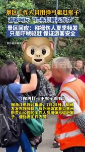 景区回应工作人员管猴子被游客呵斥