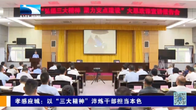 孝感应城：以“三大精神”淬炼干部担当本色
