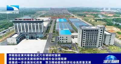 李殿勋在黄冈蕲春县武穴市调研