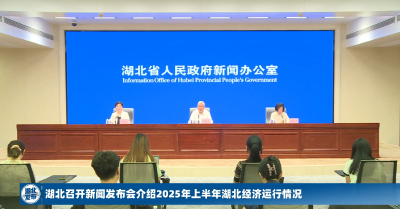 刚刚发布，上半年湖北社会消费品零售总额增长6.9%