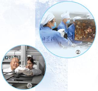 月球为何会有“两副面孔”？揭秘月球背面