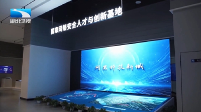 “五谷丰登”看武汉 | 中国网谷 全力打造国家网络安全高地