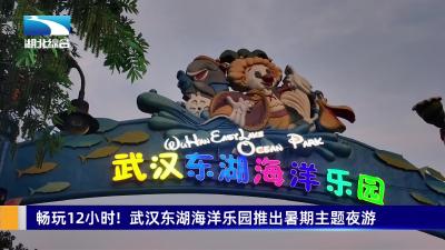 畅玩12小时!  武汉东湖海洋乐园推出暑期主题夜游