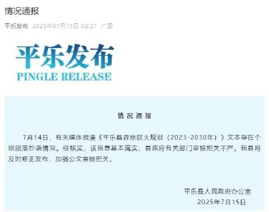 官方文件被指大段抄袭，广西平乐县回应：基本属实