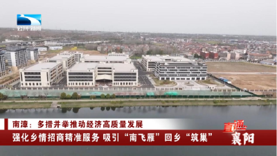 襄阳：强化乡情招商精准服务 吸引“南飞雁”回乡“筑巢”