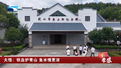 孝感大悟：铁血护青山 鱼水情更浓
