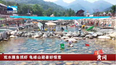 黄冈：戏水摸鱼抓虾 龟峰山避暑好惬意