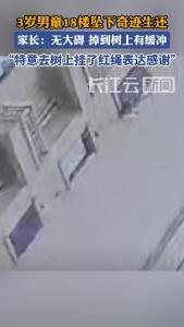 3岁男童从18楼坠下奇迹般生还，家长：感谢那棵树拦住了他