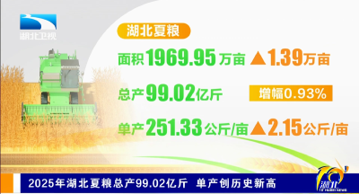 2025年湖北夏粮总产99.02亿斤 单产创历史新高