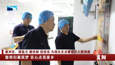 襄阳襄州区：楚商归巢筑梦 匠心点亮家乡