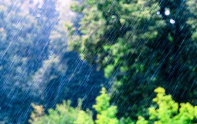 暴雨橙色预警！这些地区需防范雷暴大风等强对流天气