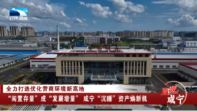 “闲置存量”成“发展增量” 咸宁“沉睡”资产焕新机
