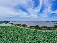 图集丨荆州崇湖湿地荷花盛放