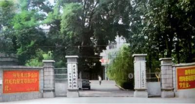 一个无会日｜学习总书记的好作风⑮