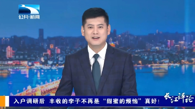 长江评论：入户调研后 丰收的李子不再是“甜蜜的烦恼”真好！