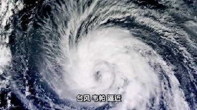 “韦帕”逼近华南 登陆广东的台风有何特点？大数据揭秘