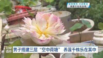 武汉一男子养1000余株莲花 建三层空中荷塘
