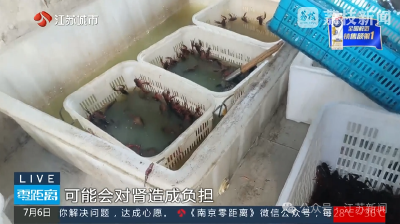 云端锐评丨工业草酸洗虾！网红龙虾店，自己不吃就瞎洗？
