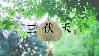 近10年最短三伏天来了！“8做8不做”请收好