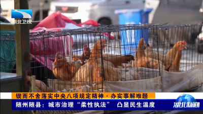 锲而不舍落实中央八项规定精神·办实事解难题｜随州随县：城市治理“柔性执法” 凸显民生温度