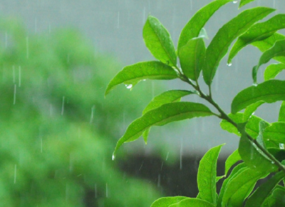 未来三天湖北多分散性阵雨 注意防范短时强对流天气