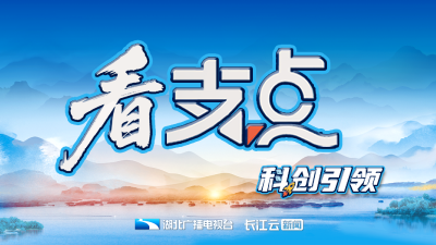 看支点丨科创引领 提升支点创新策源力