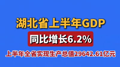 湖北省上半年GDP同比增长6.2%