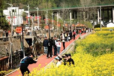 山乡蝶变记