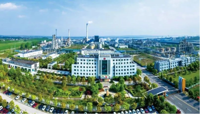 攀高向新强动能——枝江打造省“县域特色产业集群”发展观察