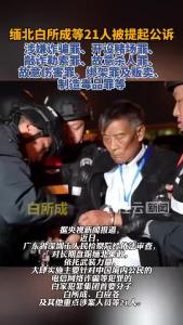 严打！缅北白所成等21人被提起公诉