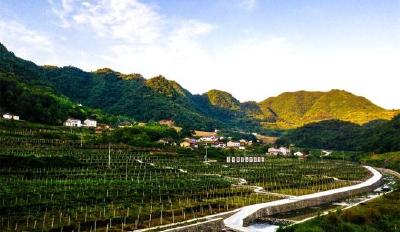 旧煤场化身新果园  废煤矿变身研学地——宜昌199座废弃矿山生态修复走上绿色蝶变之路