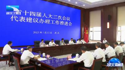 王艳玲强调 确保高质量完成今年代表建议办理任务