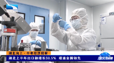 湖北向上·半年经济观察丨湖北上半年出口额增长38.5% 增速全国领先