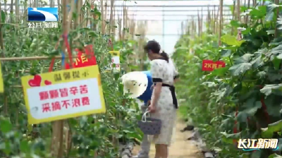 潜江一站式采摘农场宛如“水果博物馆”