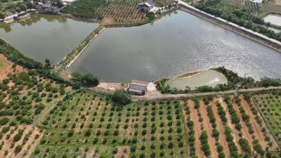 锲而不舍落实中央八项规定精神·办实事解难题丨92口共享水井“解渴”千亩农田 枝江以开门教育优化民生供电保障