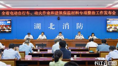 湖北通报上半年“三个专项整治”工作情况