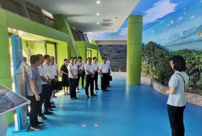 向20多万游客宣传大别山精神 红色讲解一线，她已扎根16年