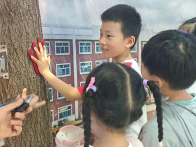 奇妙雷电实验室探秘！萌娃大暑日“触电”学避雷