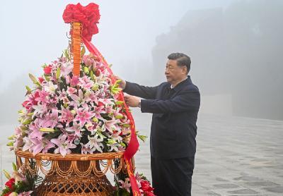 镜观·回响｜砥柱中流护家园 转型发展迈新步