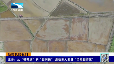 媒体看崇阳 | 汪帝：从“橄榄绿”到“田间绿” 退伍军人变身“全能田管家”