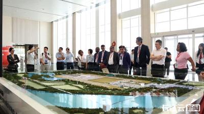 国际考察团点赞湖北数字贸易发展 共探电子商务合作新机遇