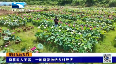新时代的我们｜荷花匠人王磊： 一池荷花激活乡村经济