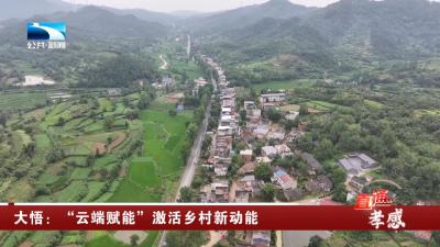 孝感大悟：“云端赋能”激活乡村新动能