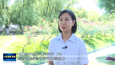 锲而不舍落实中央八项规定精神 |十堰推出知识价值信用贷，企业“知本”变“资本”