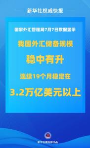 我国外汇储备规模上半年保持稳中有升